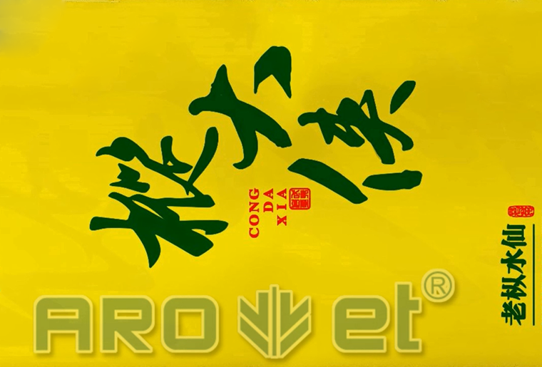 恒峰g22茶叶包装袋喷印设备在客户现场喷印视频